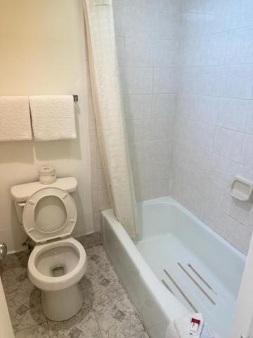 Executive Inn Mercedes Weslaco المظهر الخارجي الصورة